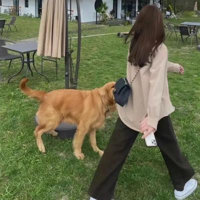 我的心里住着一只猫